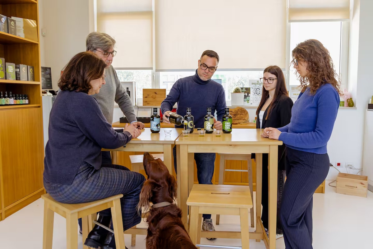 Visit, Extra Virgin Olive Oil Tasting, and Apulian Aperitif