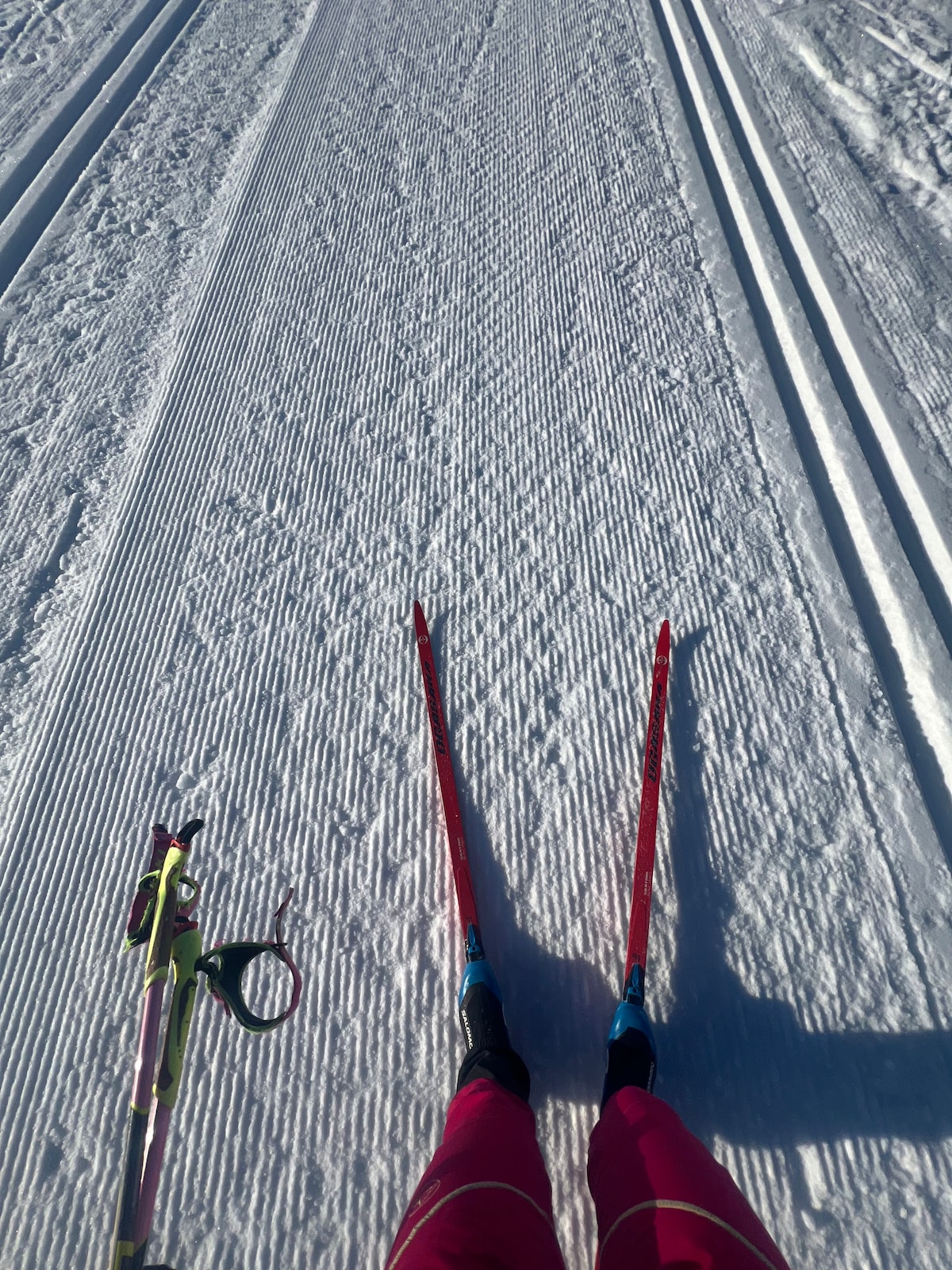 Discover the Norwegian tradition: nordic skiing