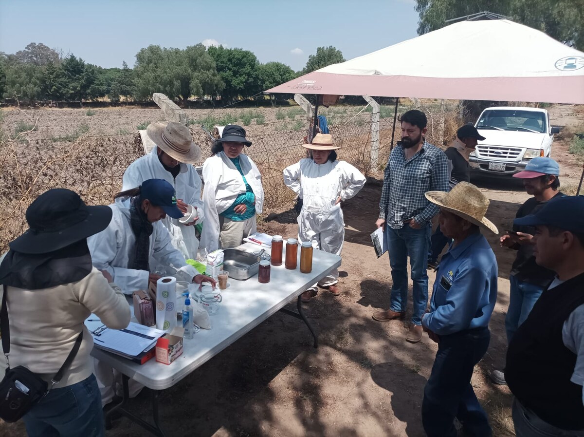 Work with bees and visit my apiary