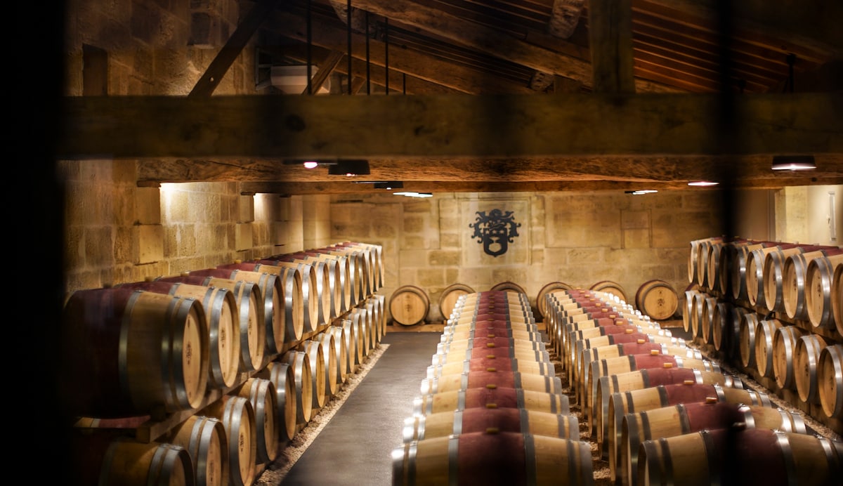 Visit to an organic and family vineyard