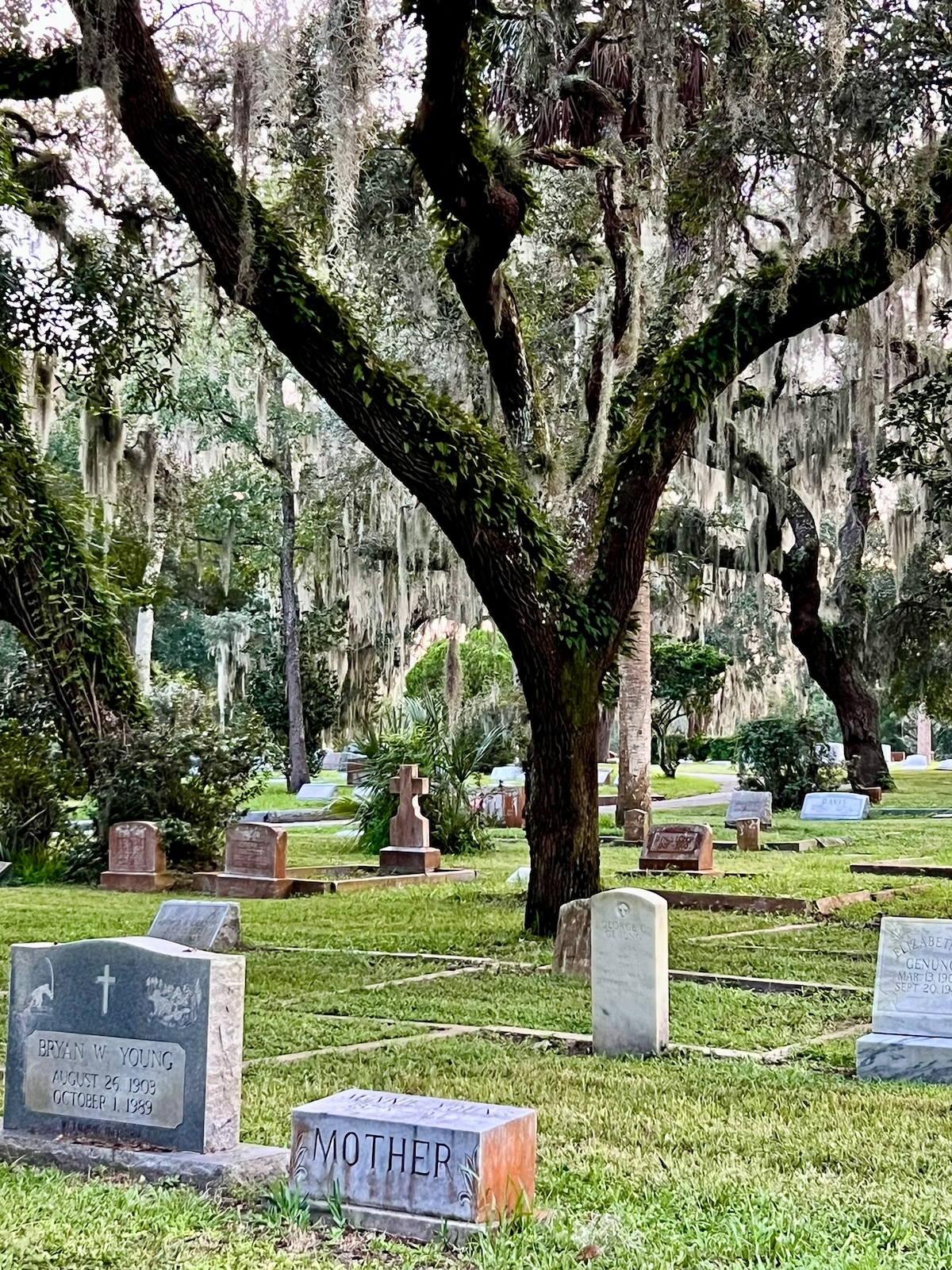 Explore America’s Oldest City by Electric Cart