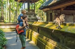 Descubre lo mejor de Ubud: boleto con todo incluido