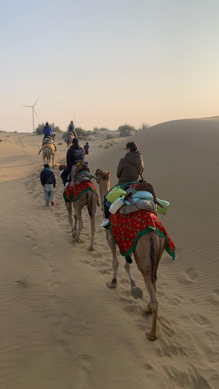 Medio día en el desierto de Thar: paseo en camello y safari
