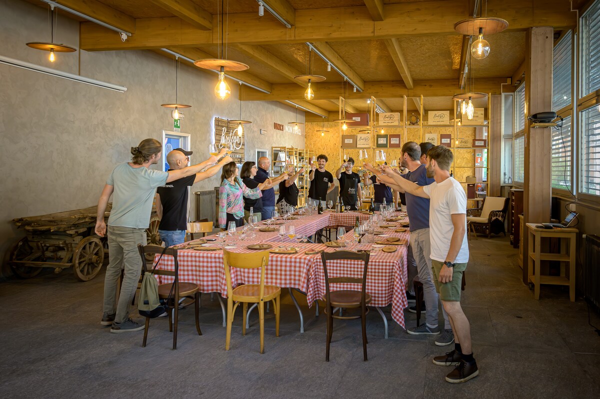 Tasting of local wine, cold cuts and cheeses