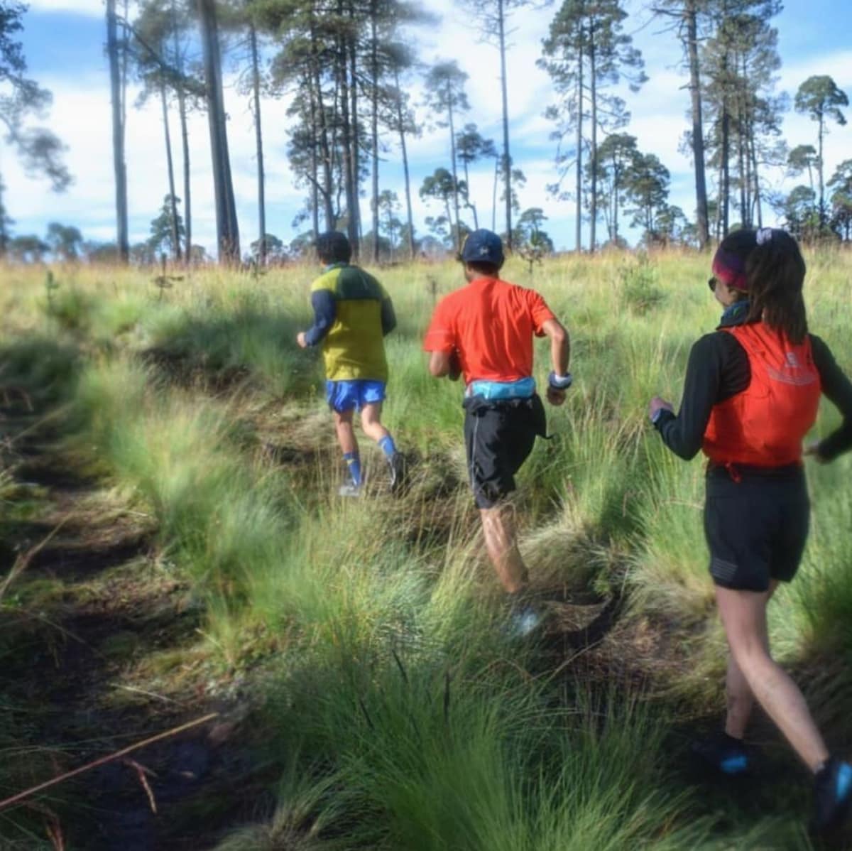 Run the city’s hidden trails with an elite athlete