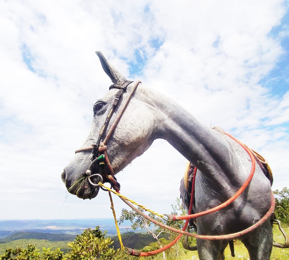 Horseback riding in Pirenópolis