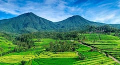 Explora Ubud: cascadas y terrazas de arroz