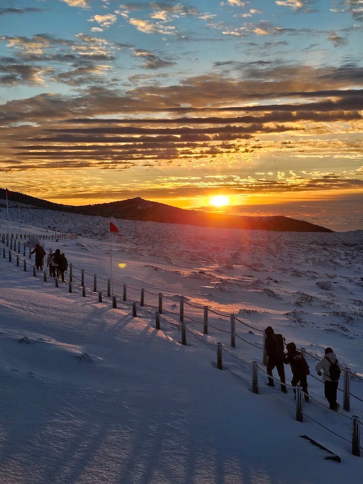 Senderismo, relajación y cena social a la vez: camina por el bosque de Jeju, aguas termales de agua carbonatada, barbacoa y fogatas