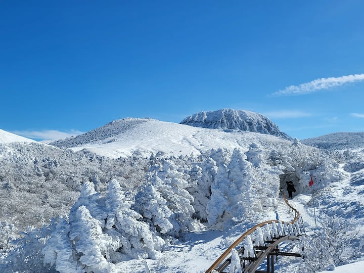 Senderismo, relajación y cena social a la vez: camina por el bosque de Jeju, aguas termales de agua carbonatada, barbacoa y fogatas