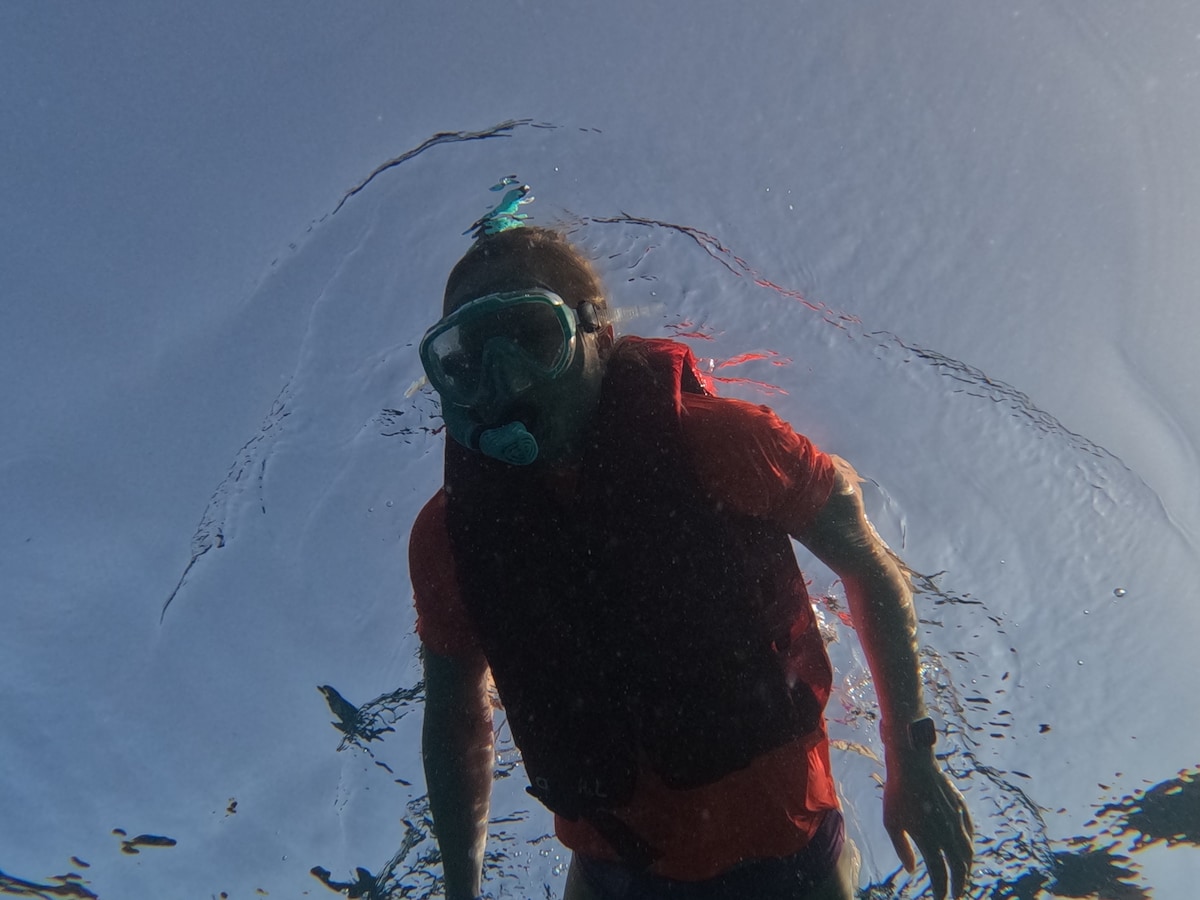 Dive into a snorkeling adventure