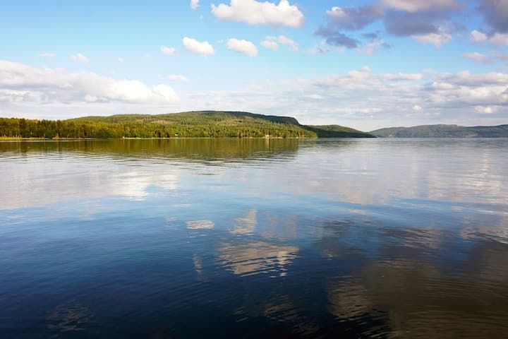 Skogspaus: Nature Reconnection in High Coast