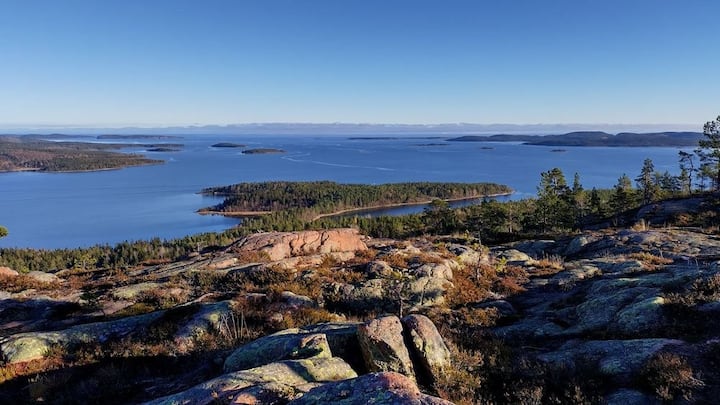 Skogspaus: Nature Reconnection in High Coast