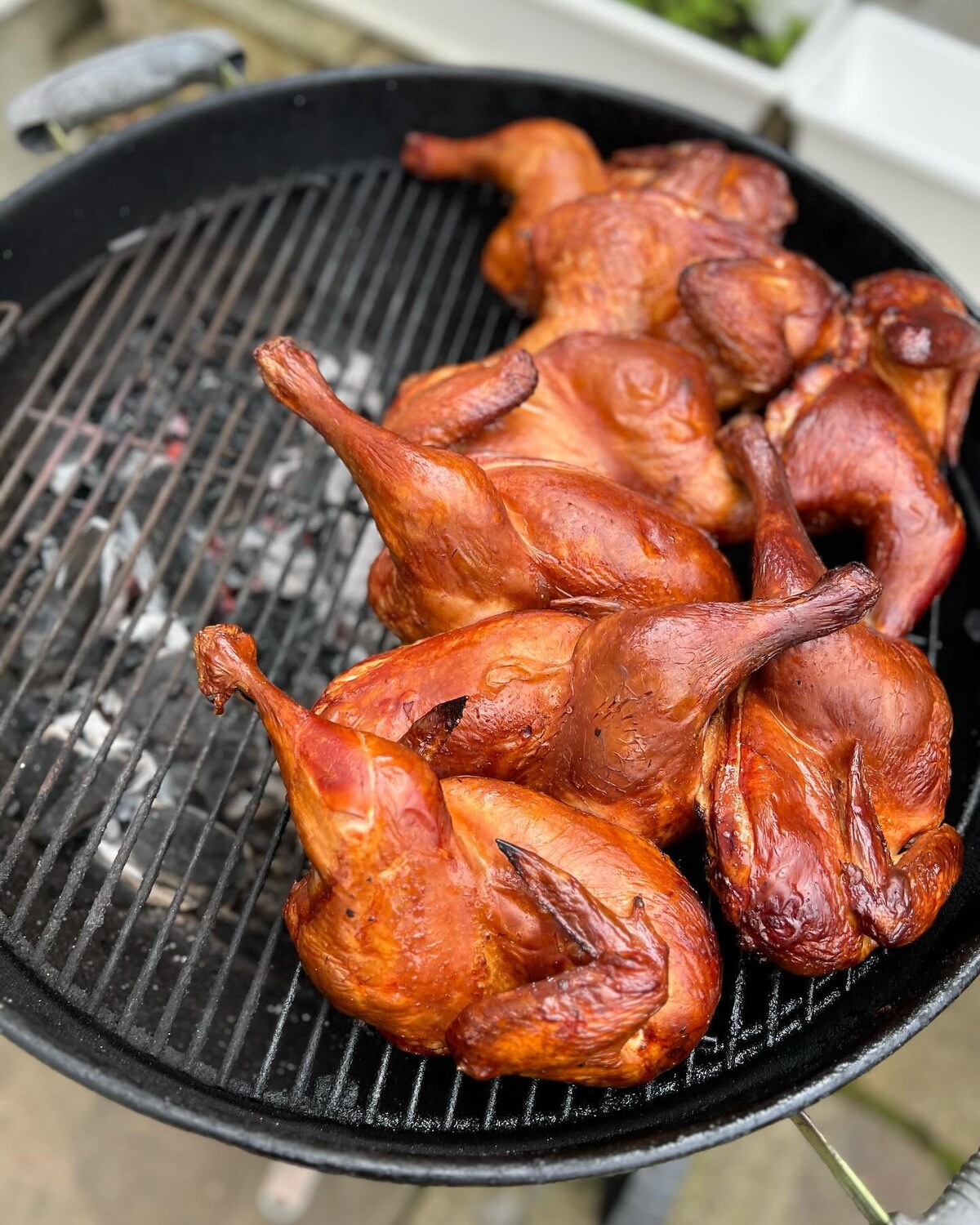 Global Flavors And BBQ By Sean global-flavors-and-bbq-by-sean