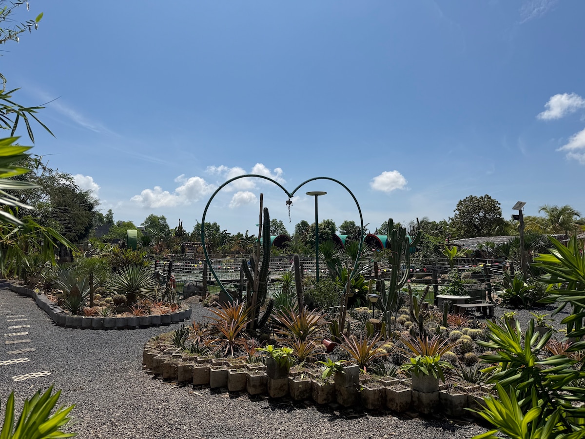 Mui Ne Hidden Gems Scooter Tour