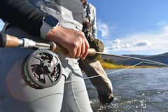 Practica la pesca con mosca con un guía experimentado
