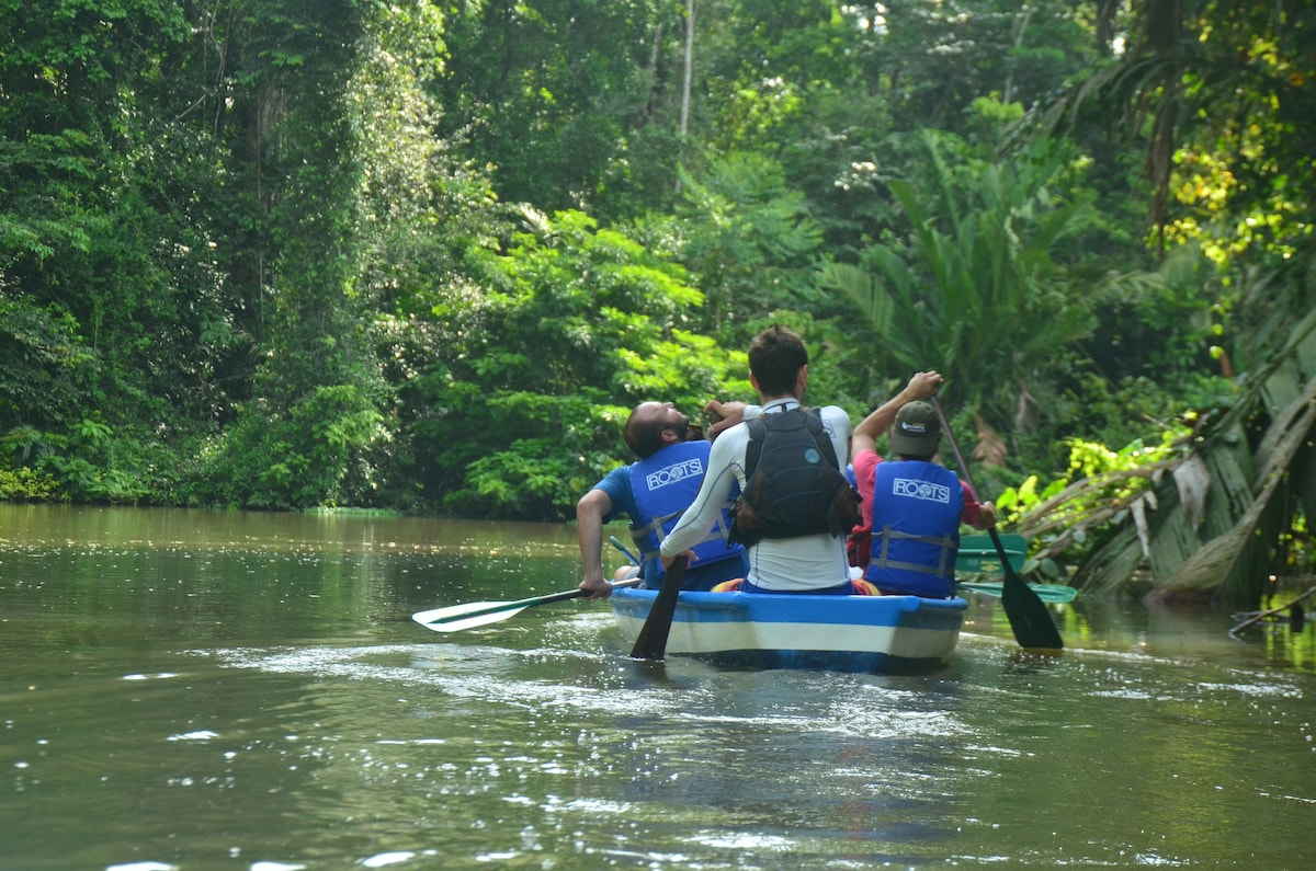 Canoe tour through the Tortuguero canals