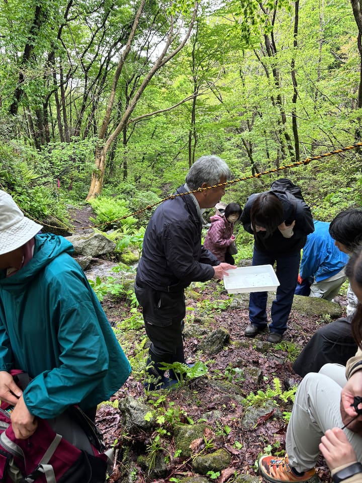 სადოს ბუნების ღრმად შესწავლა