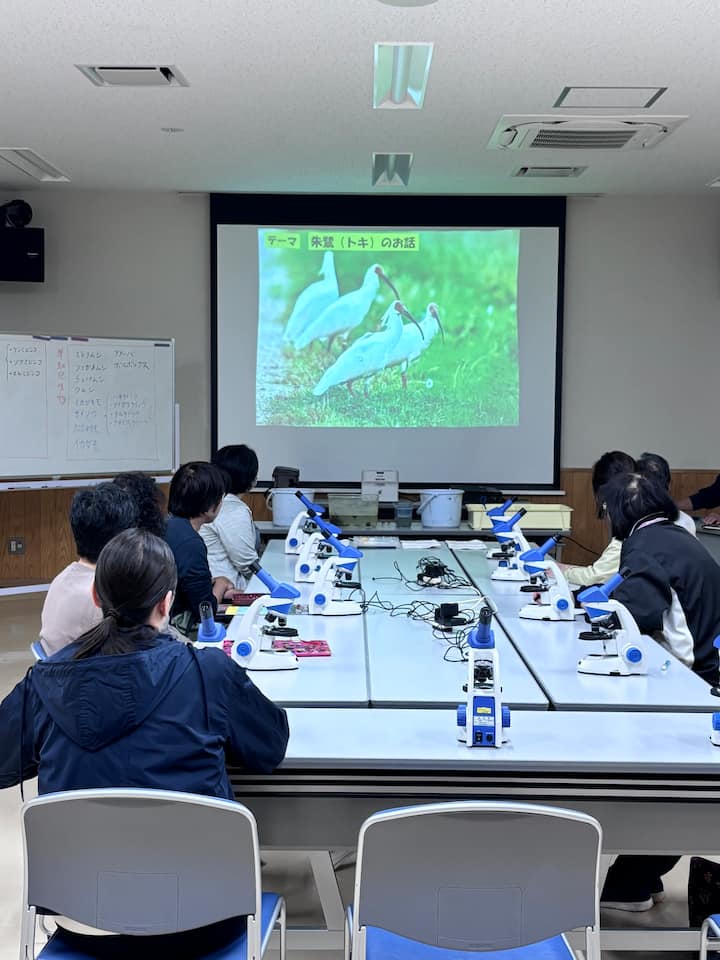 სადოს ბუნების ღრმად შესწავლა