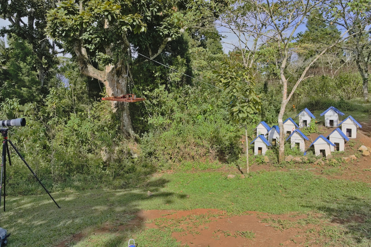 A lesser known ecotouristic escape in Cartago