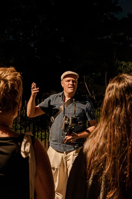 Explore Nightlife of NYC - Fireflies, Bats, & More