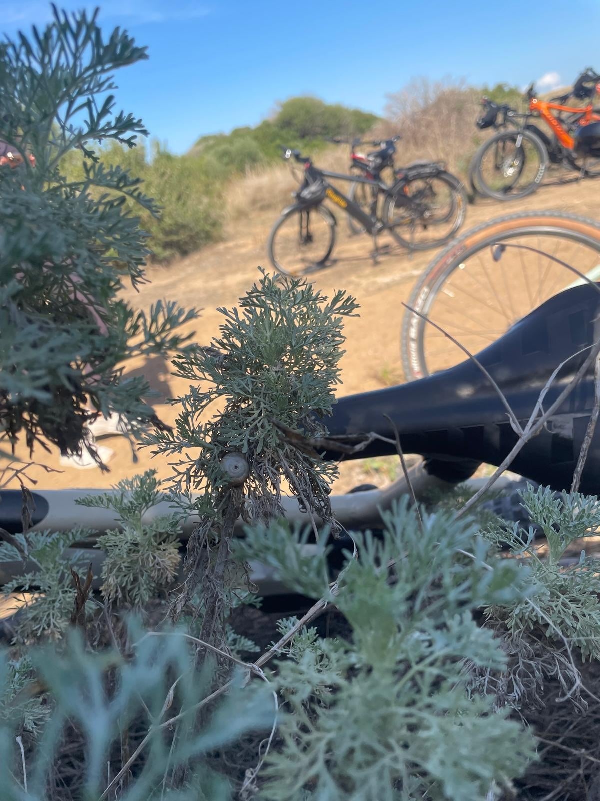 From the mouth of the Belìce to the Selinunte Archaeological Park