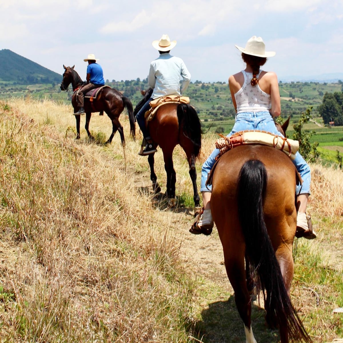 Experience freedom on horseback in volcanic lands