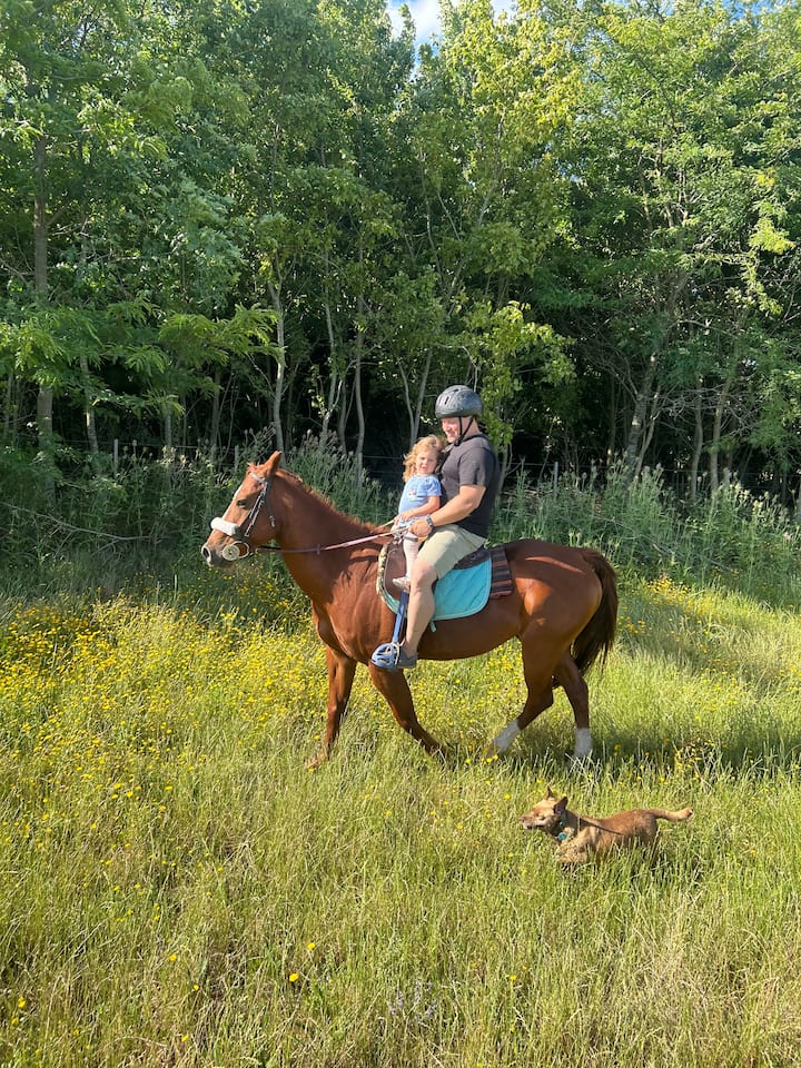 Езда – малки групи и уроци по езда