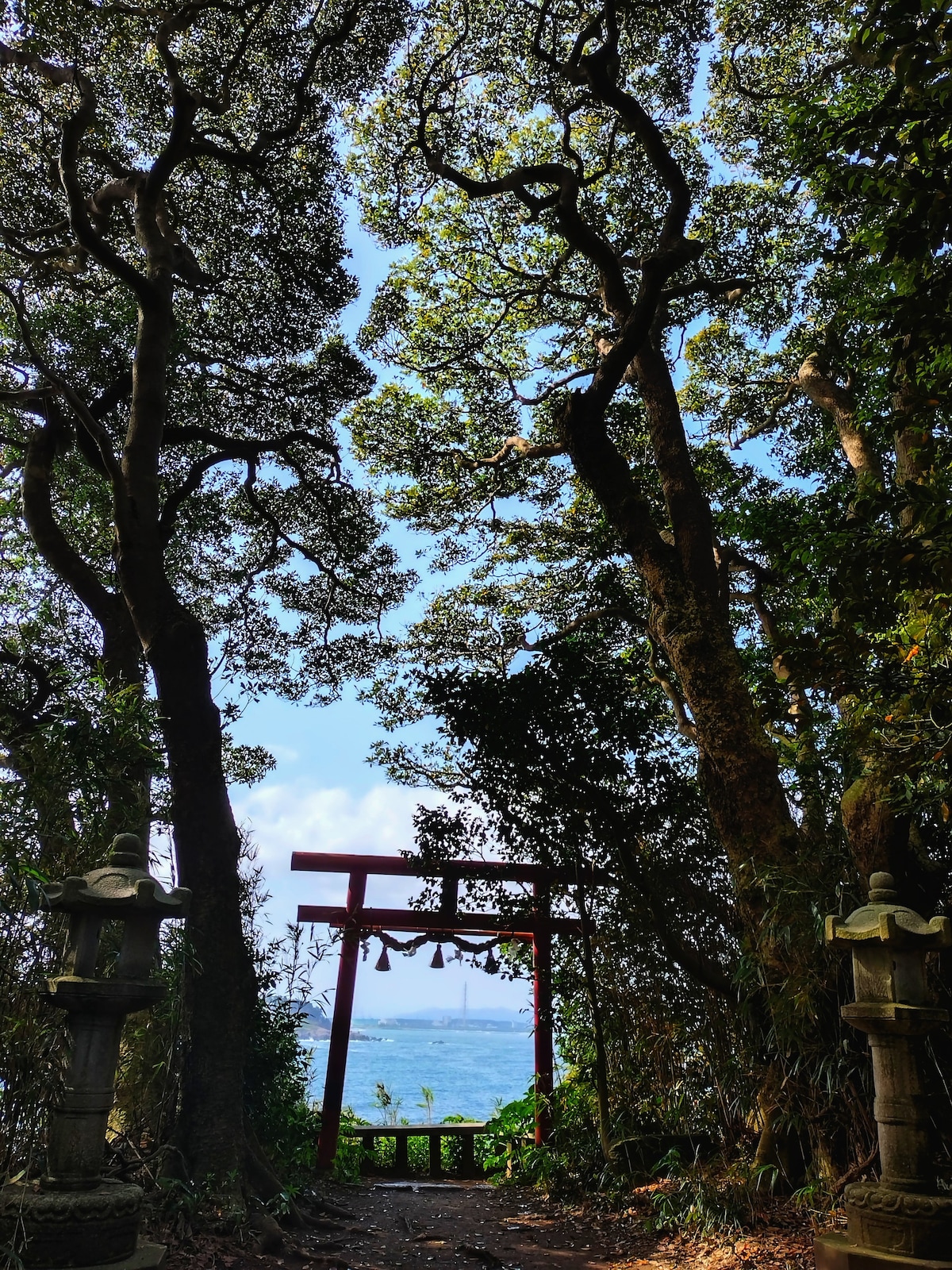 Visit Ojima, Ninohama, Echizen Matsushima, and the remains of the battery

A guide to the wonderful areas around you