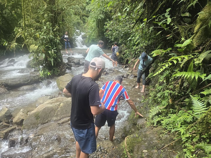 Mindo: Maporomoko ya maji, Ndege na Vipepeo kwa Siku Nzima