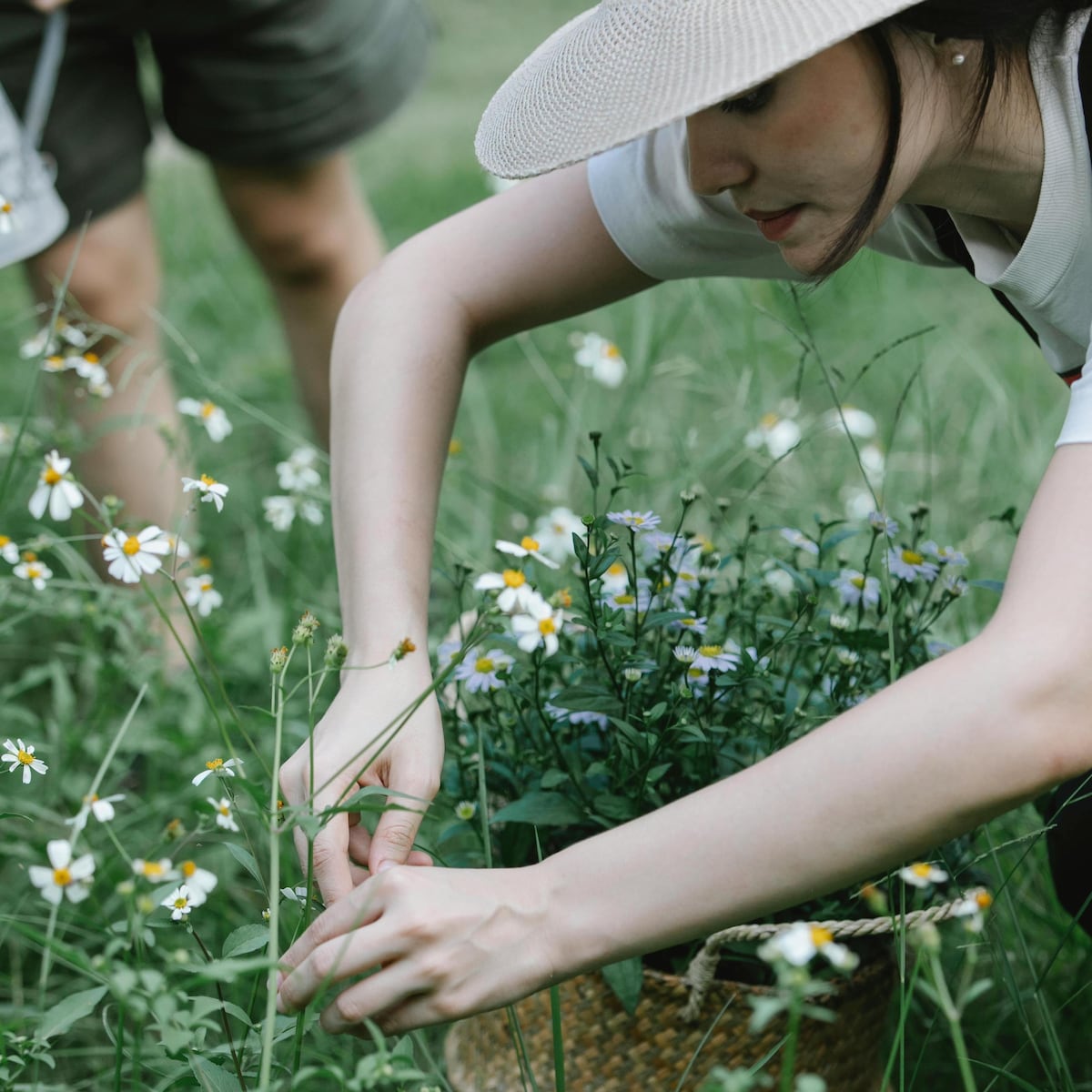 Botanize and create a piece of jewelry with the local flora