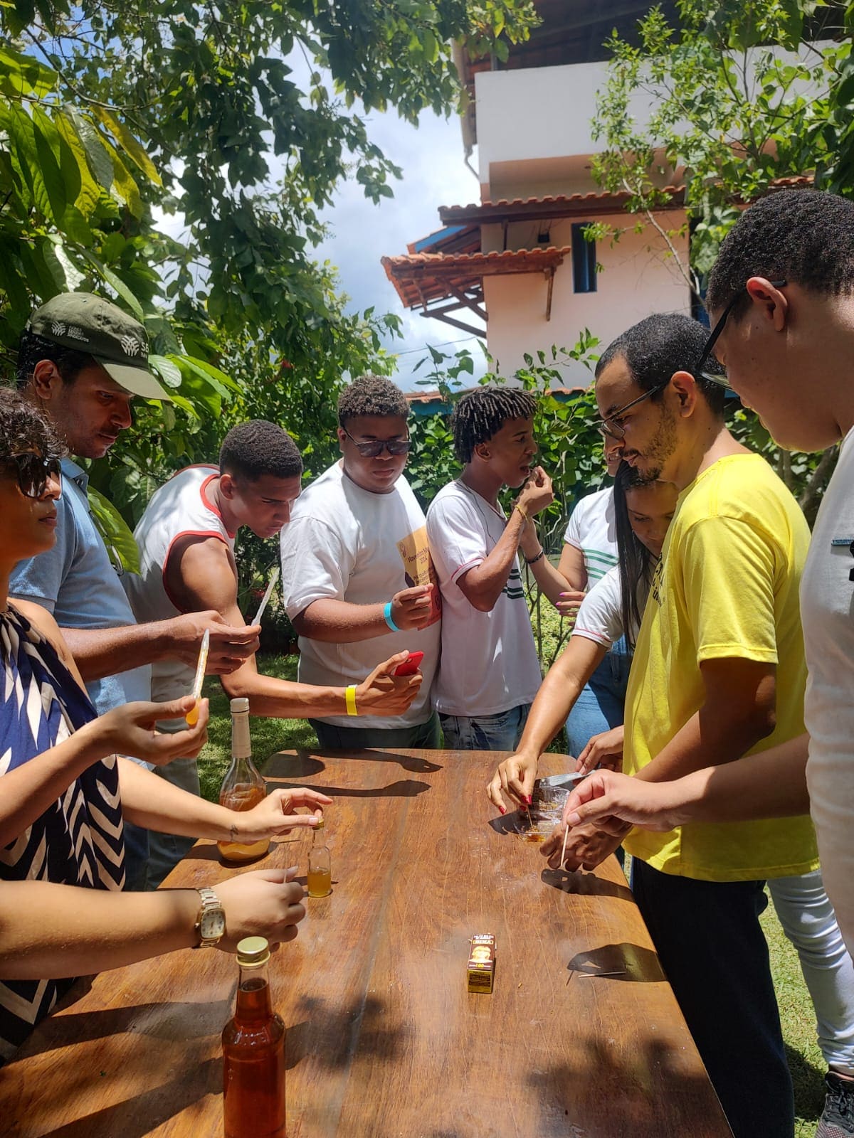 Experience stingless beekeeping