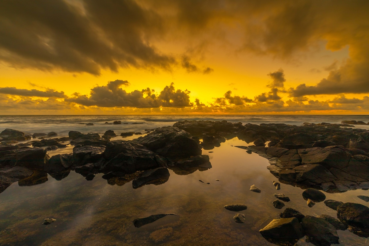 Kauai Northshore and East Side Tour