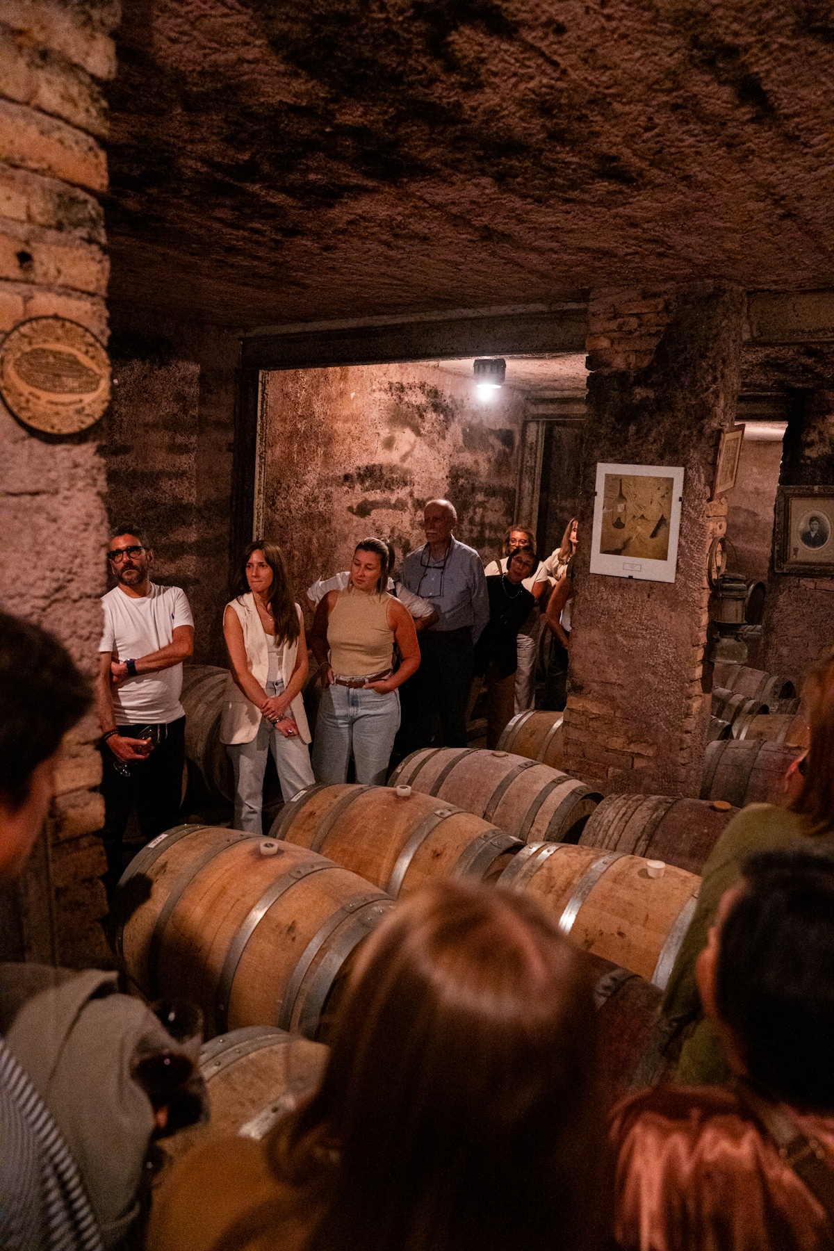 Taste delicious Uruguayan wines