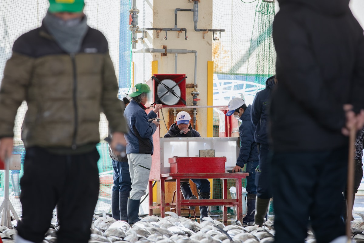 Tuna Auction Market Private Guided Tour