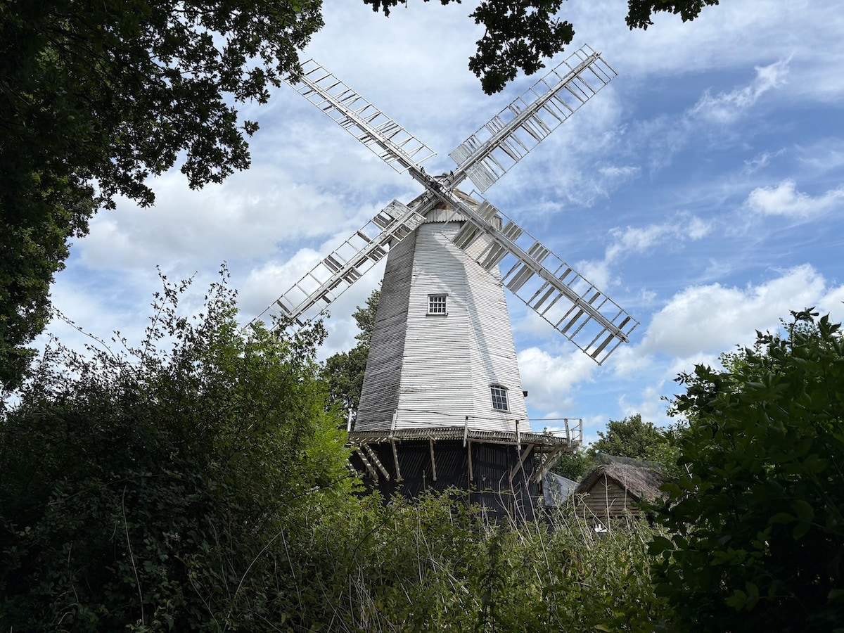 Explore historic windmill near Knepp Rewilding