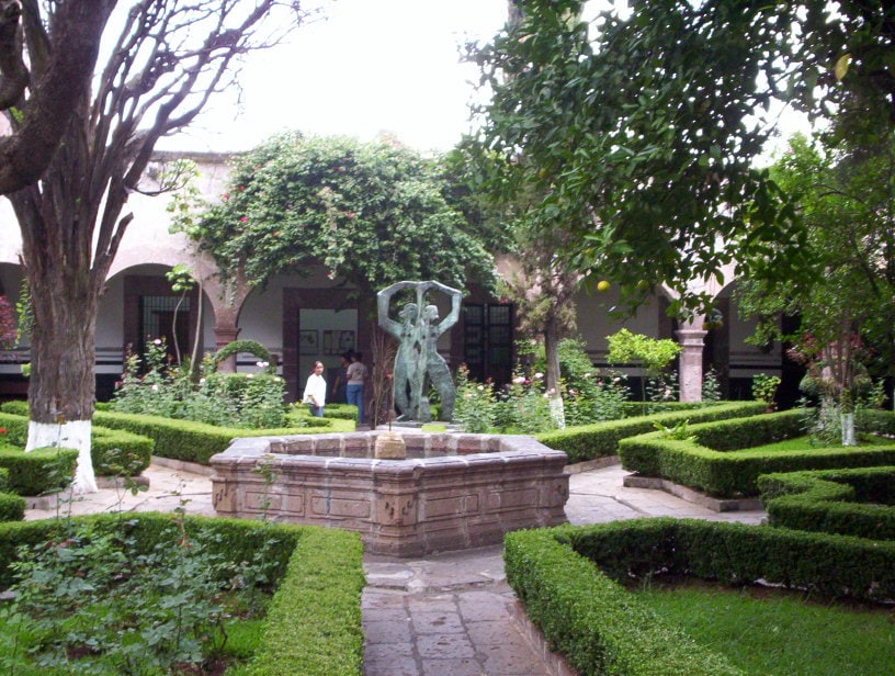 Discover the Morelia