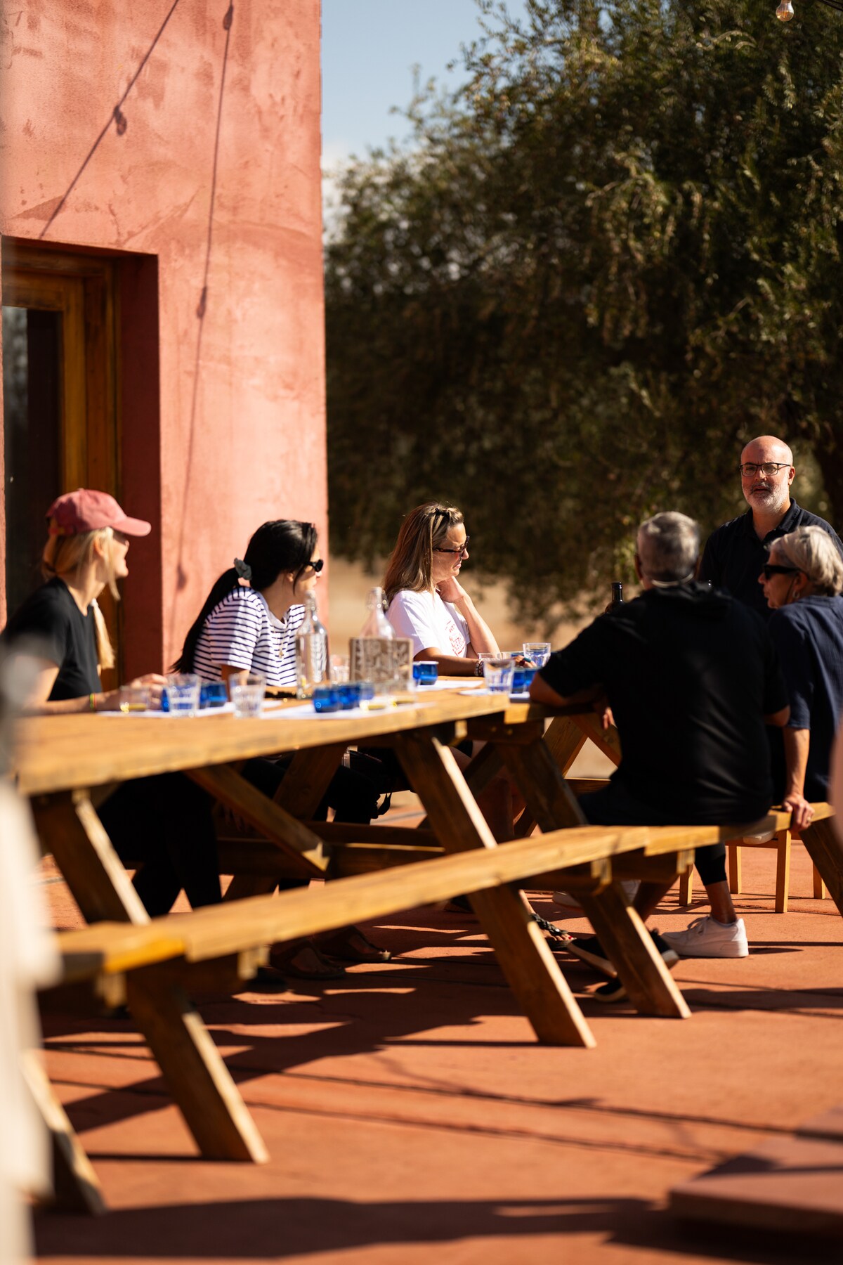 Taste Olive Oil at an Organic Farm