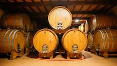 从葡萄串到酒杯，葡萄酒之旅