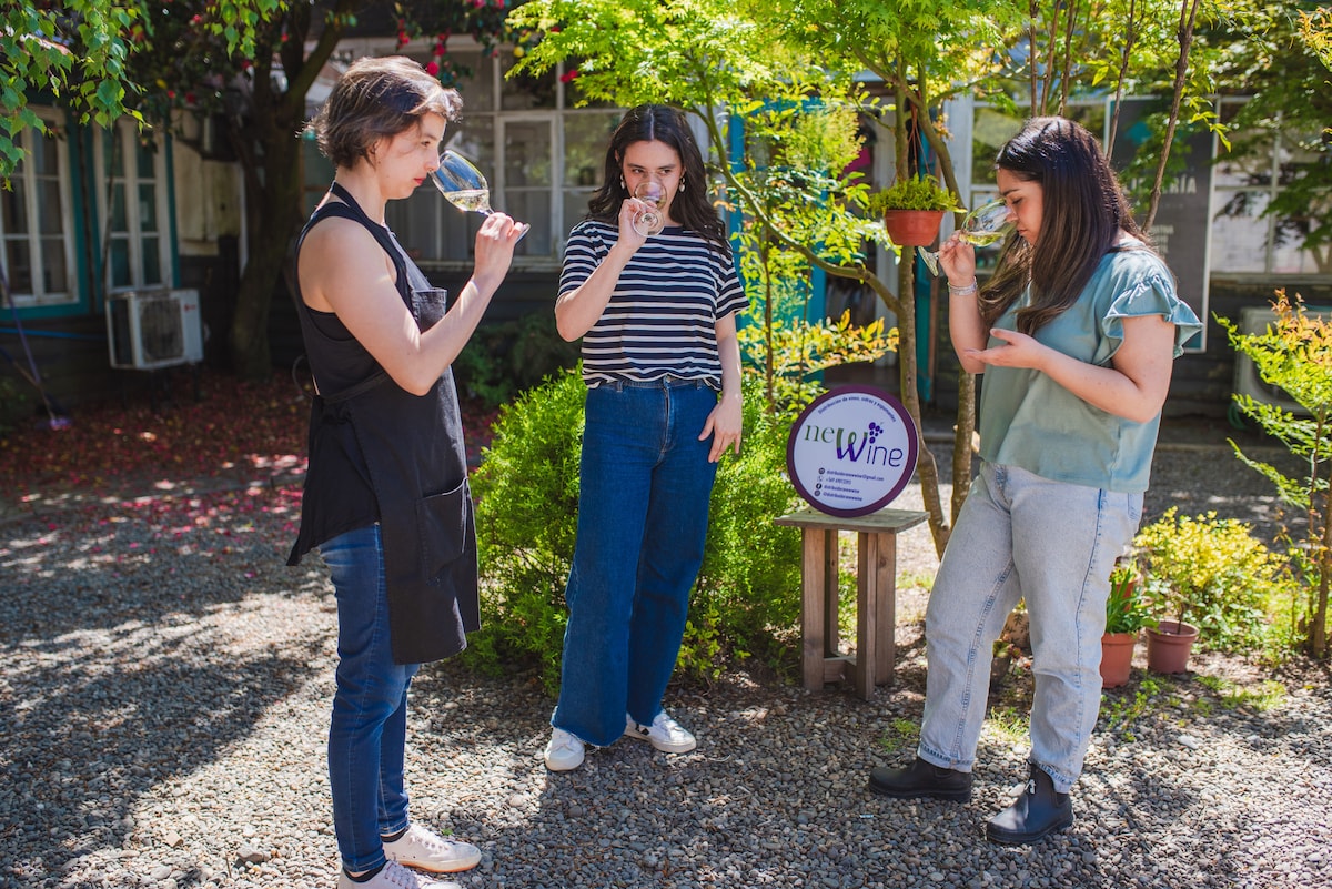 Wine and Local Cider Tasting in the South of the World