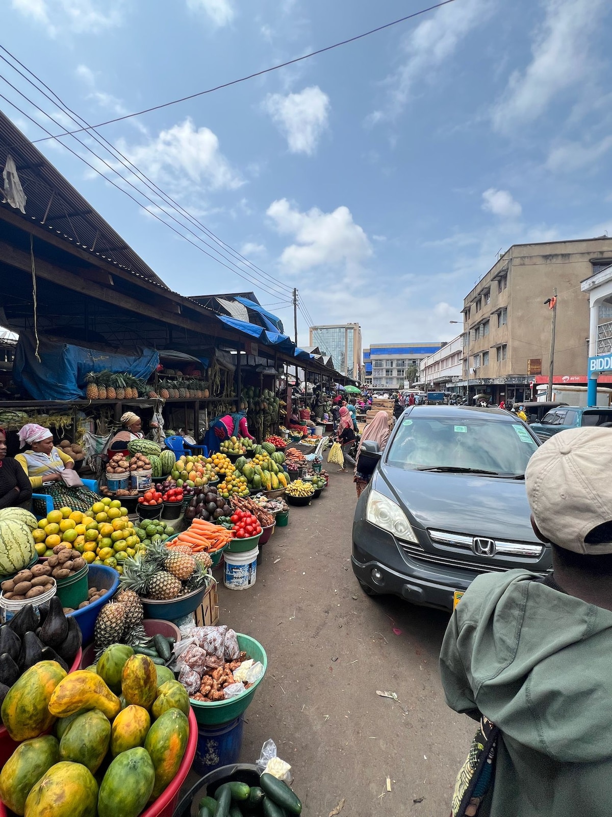 Explore Arushas history, culture & hidden gems