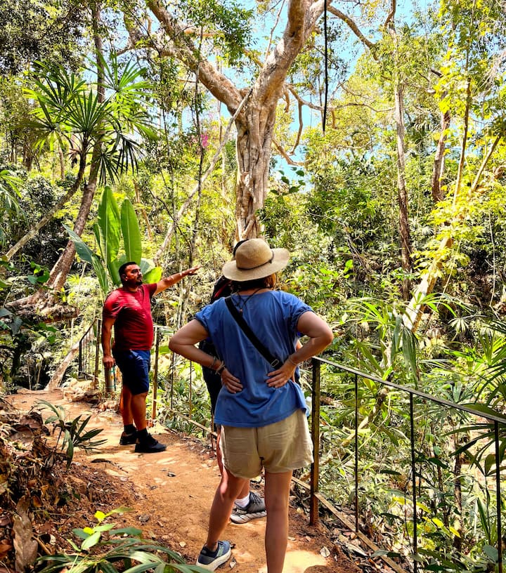 Botanical Garden & Petroglyphs, group price