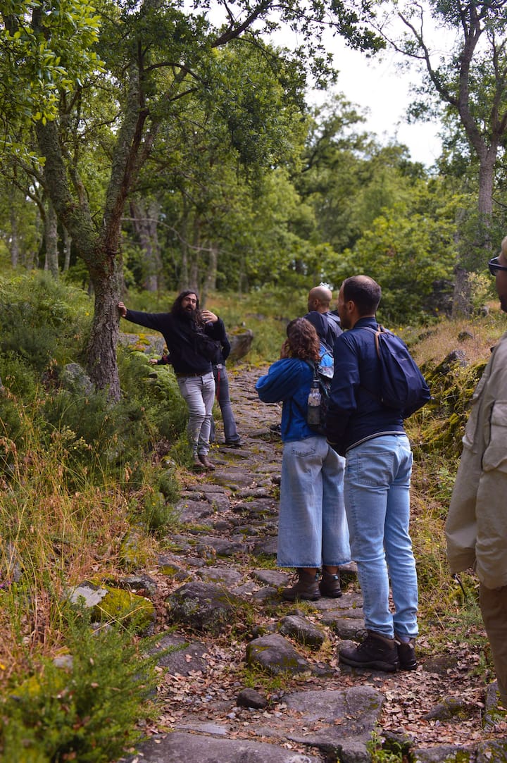 Разгледайте келтските кастроси: частна обиколка от Порто