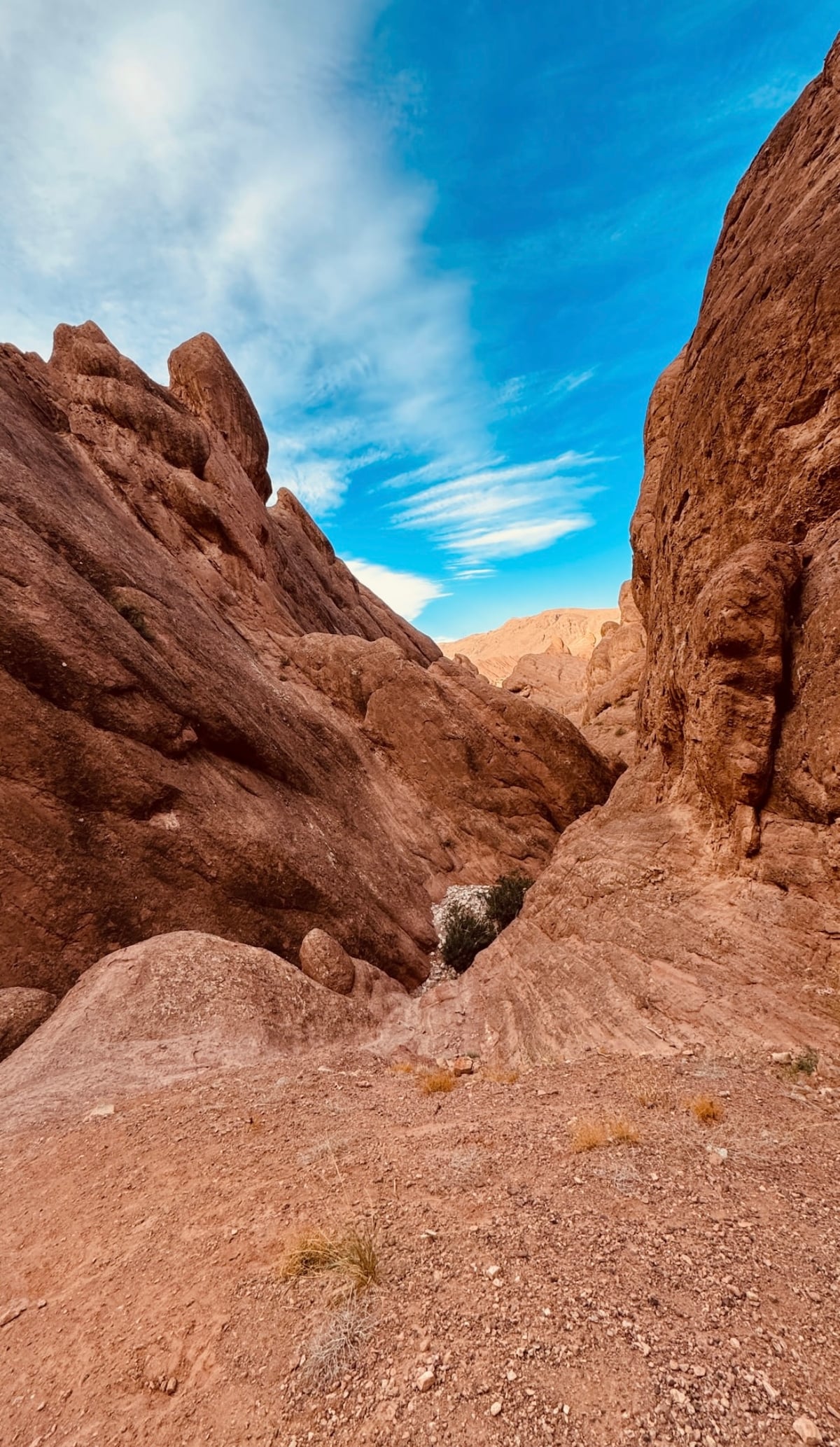 Dadès Gorges and Monkey Fingers Canyon Loop