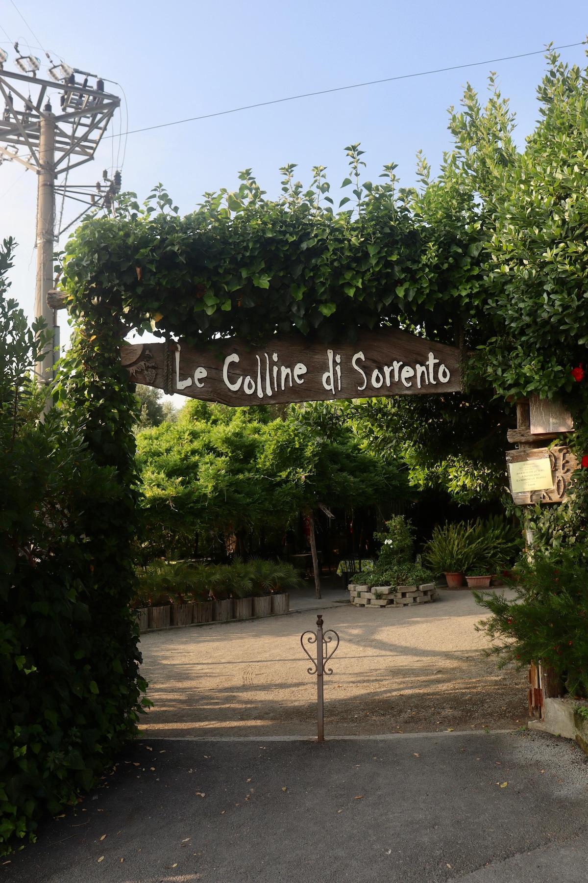 Farmhouse in Sorrento: lemon grove and typical products