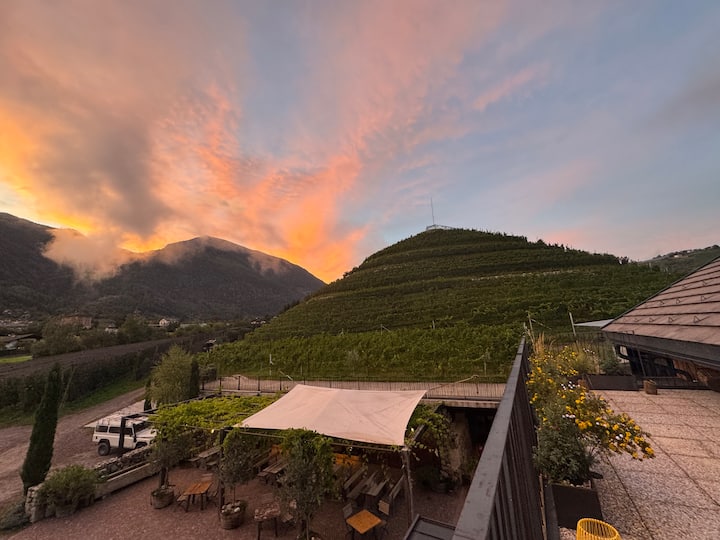 Tukio la Shamba la Mizabibu: Mvinyo na Marende kwenye SharedTable