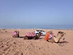 הרפתקה של יום שלם במדבר מאגאדיר – כולל ארוחת צהריים