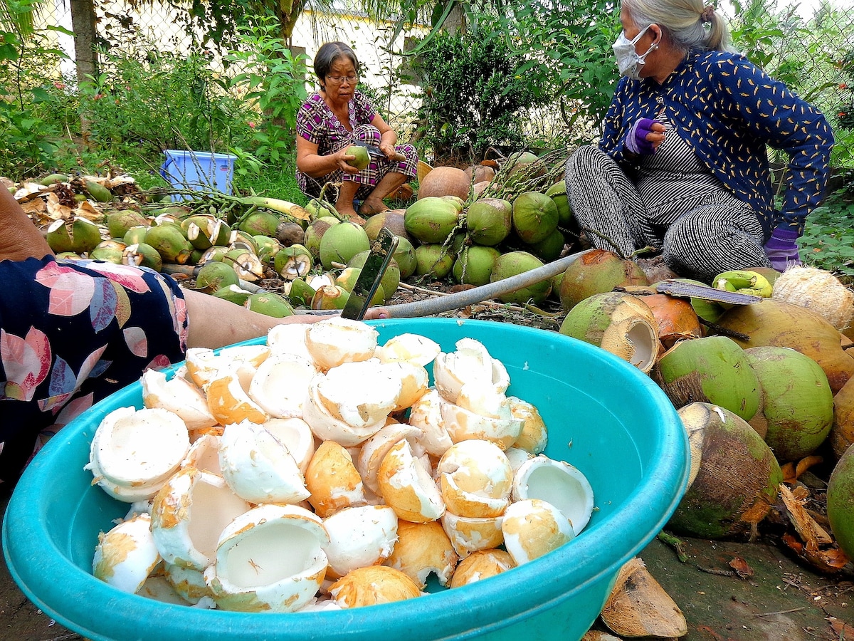 Bike & Farm Tour in the Coconut Village