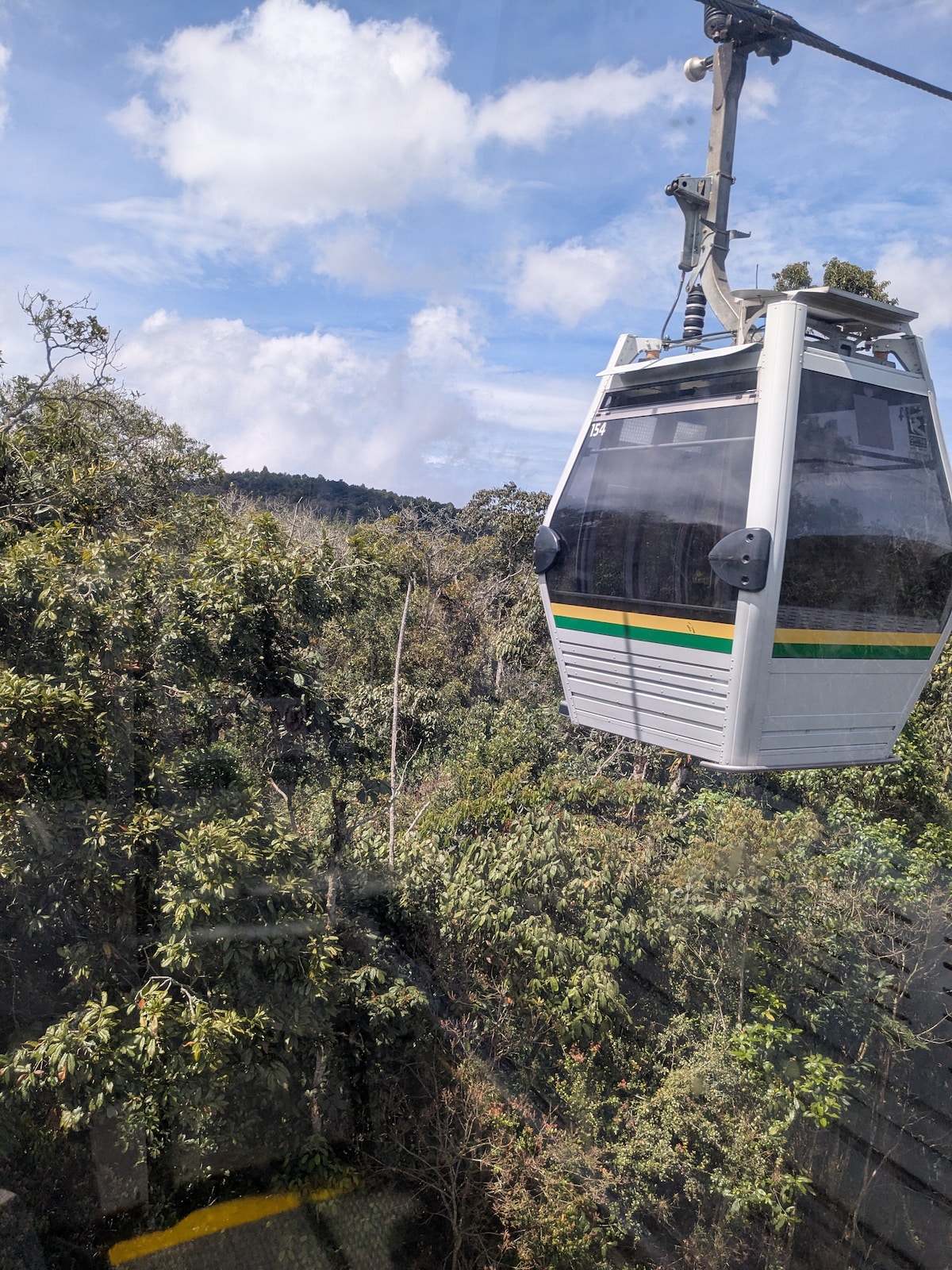Explore Andes Fog Forest Walking  Unique Adventure