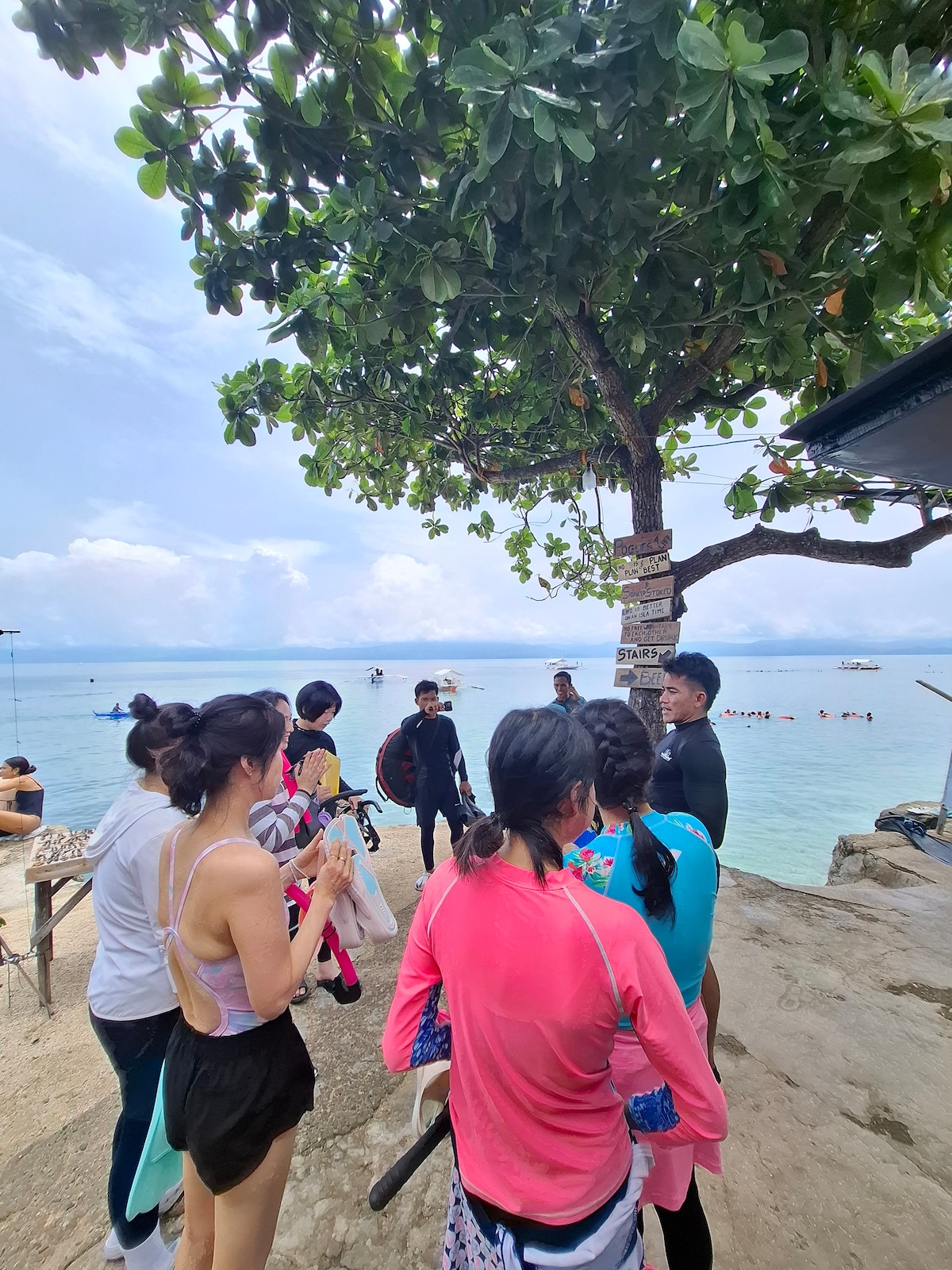 Snorkeling with the sardinesrun and turtles