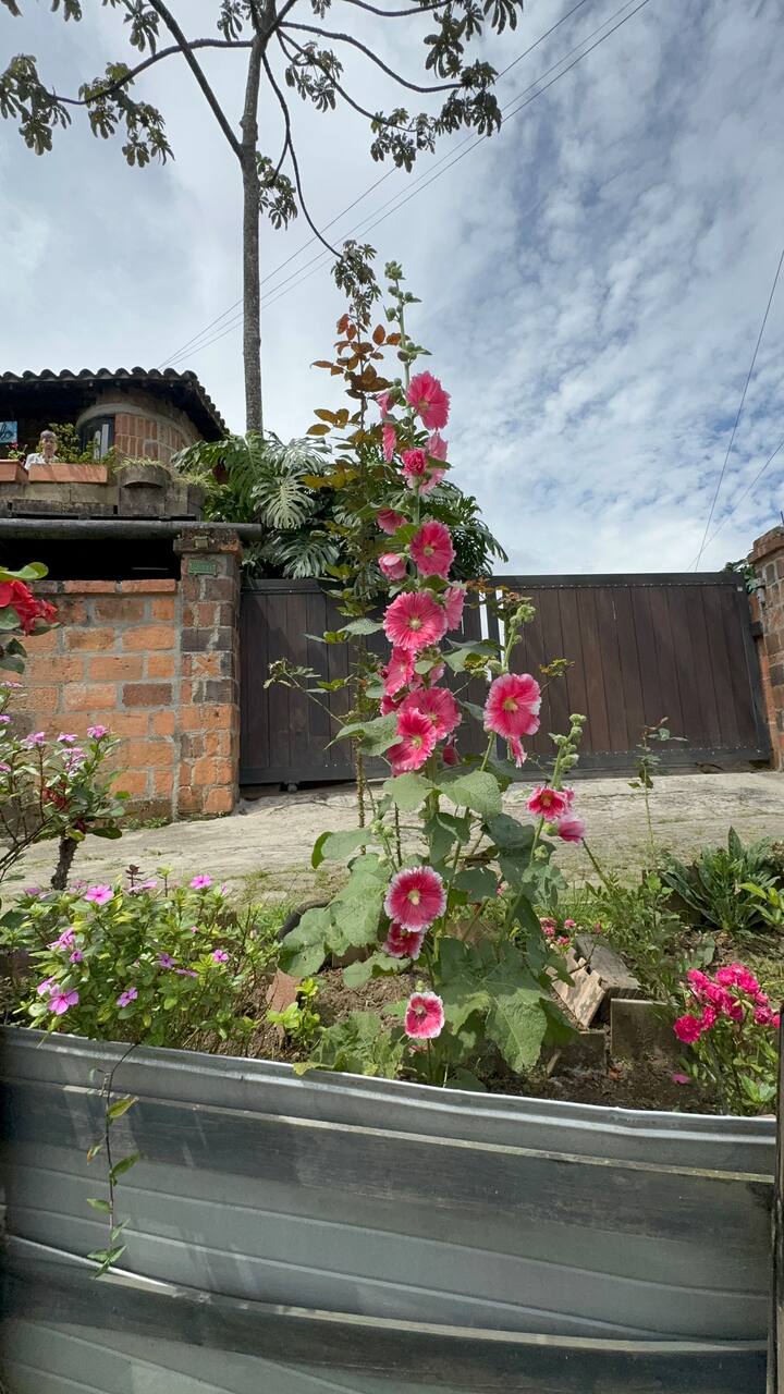 კულტურული ლაშქრობა საბანეტაში